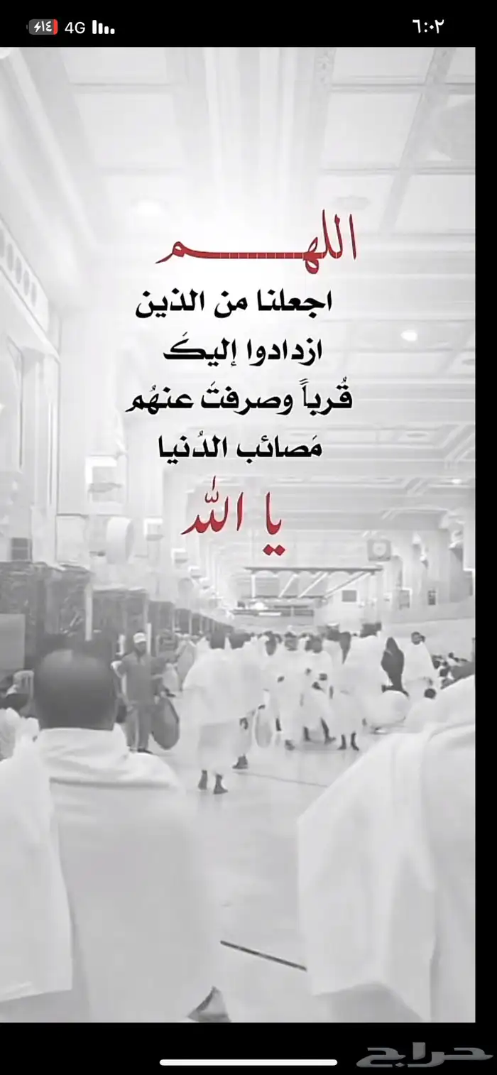 ابحث عن شبك غنم للبيع 0