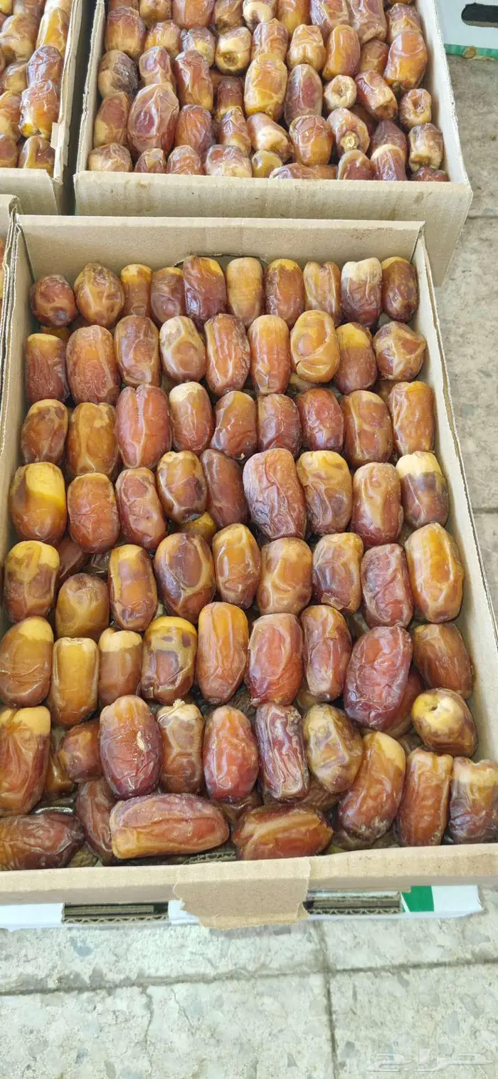 تمر رطب صقعي للبيع 0