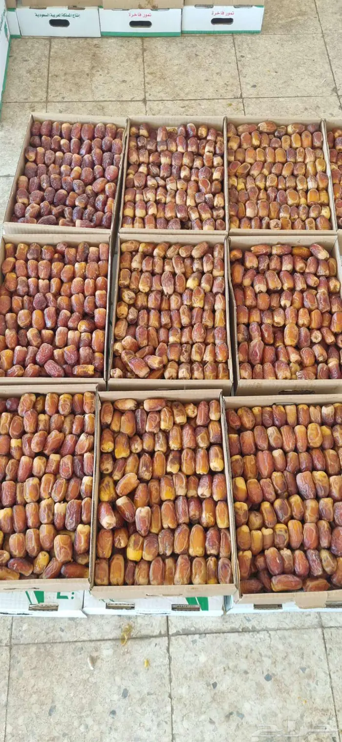 تمر رطب صقعي للبيع 1