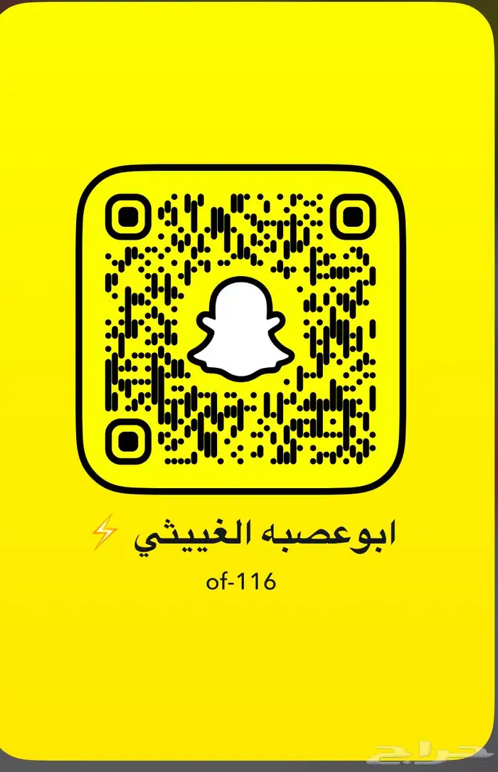 للبيع ابل مغاتير ومجاهيم عشاير تحتها انتاج طيبه ولقحات 11