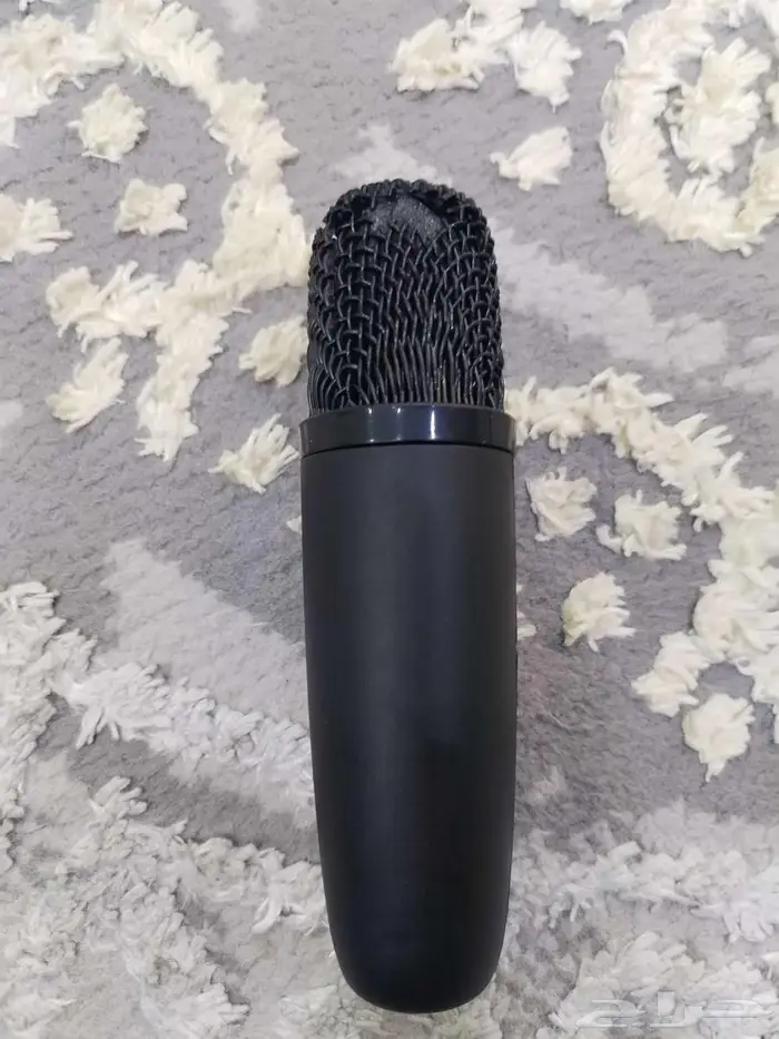 Double Speaker 1
