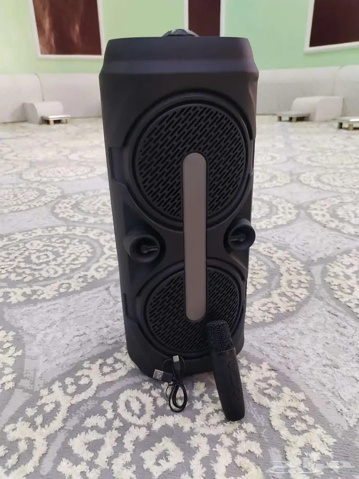 Double Speaker 6