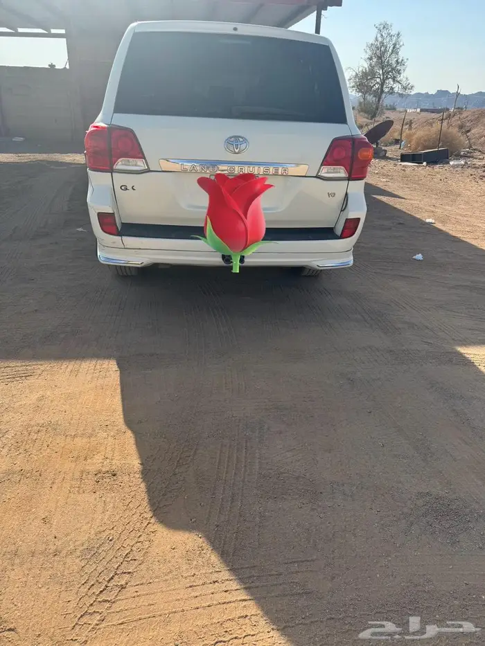 جي اكس 6 سرندل 4