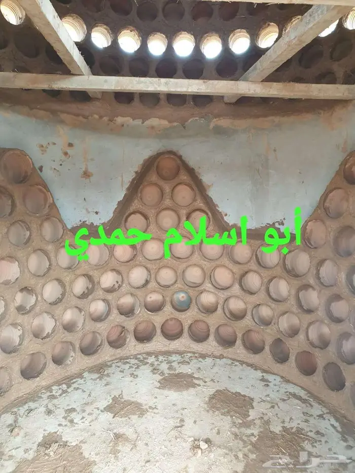 الرياض الخرج المنصورة 8