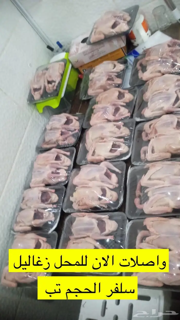 حليب خلفات محل طلعتنا وين 0