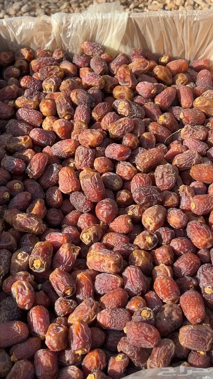 تمر خلاص وادي احمر فاخر 0