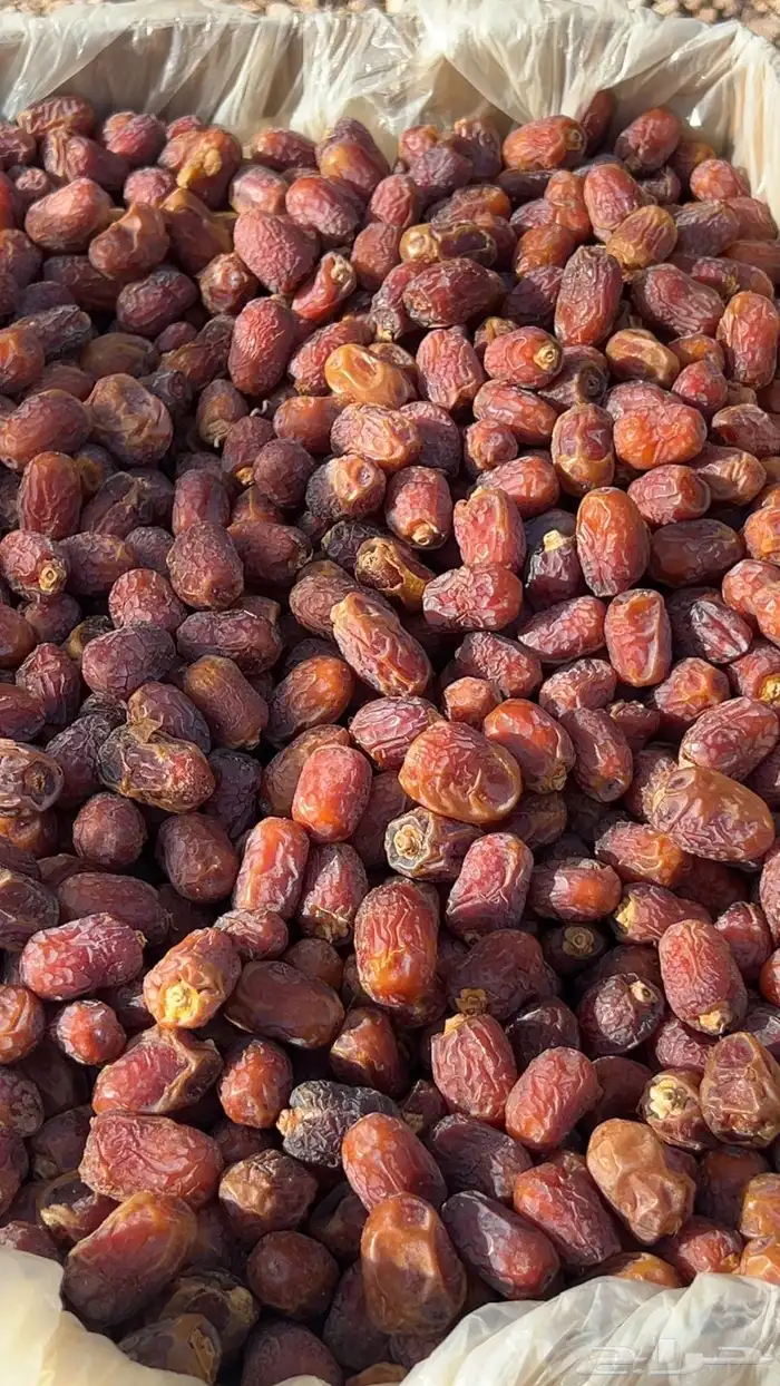 تمر خلاص وادي احمر فاخر 2