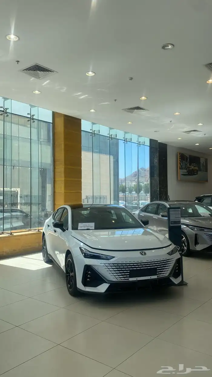 تحطيم الاسعار معا روتانا شانجان بمناسبه اليوم الوطني 2025 9