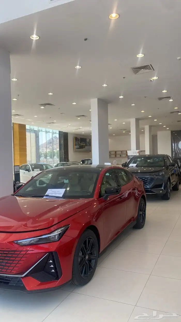 تحطيم الاسعار معا روتانا شانجان بمناسبه اليوم الوطني 2025 7