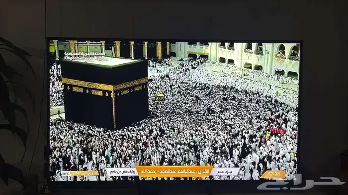 القنفذة 0