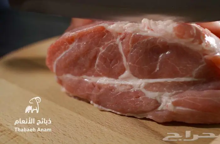عجول هولندية محلية جملة ومفرق 3