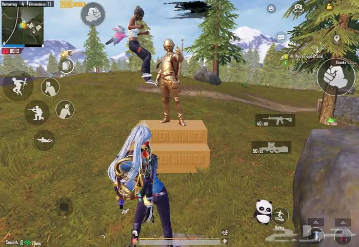 حساب ببجي للبيع 17