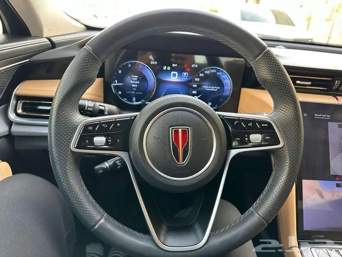 2024 HONGQI OUSADO 40 TD fully loaded with panorama sunroof 8