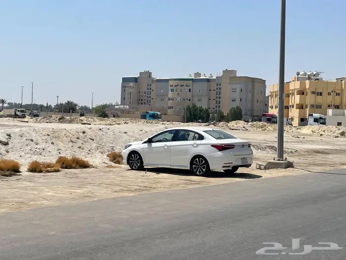 شيري اريزو 6 - 2020 2