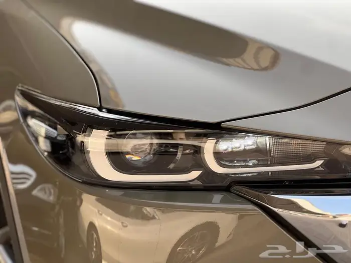 Cx5 بدي وكالة 2022 تم البيع 7