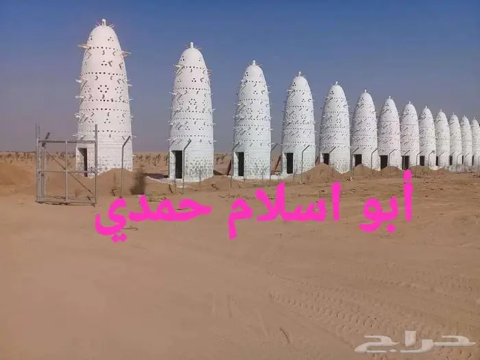 الرياض الخرج المنصورة 6