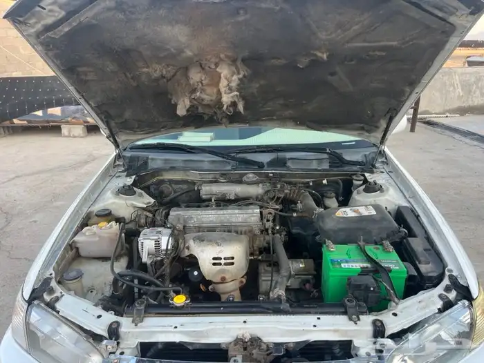 كامري 2002 7