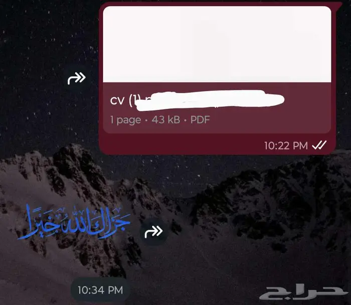 سيرة ذاتية (CV) متوافقة مع أنظمة التوظيف (ATS) بسعر رمزي 6
