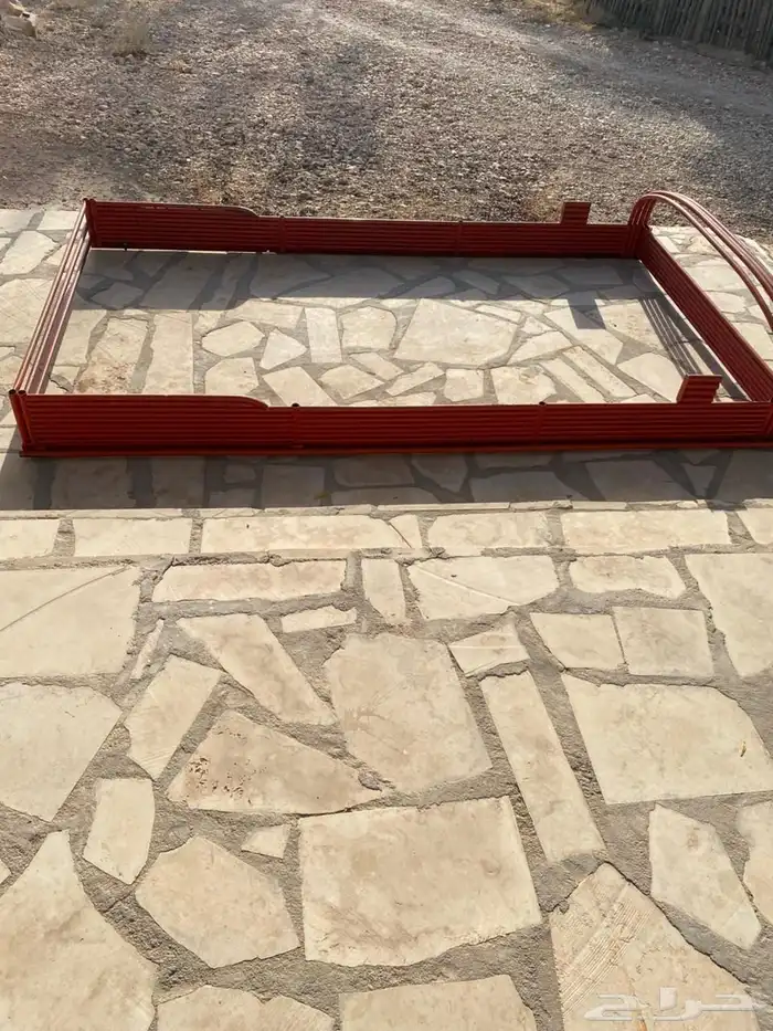 كبوت   شد 4