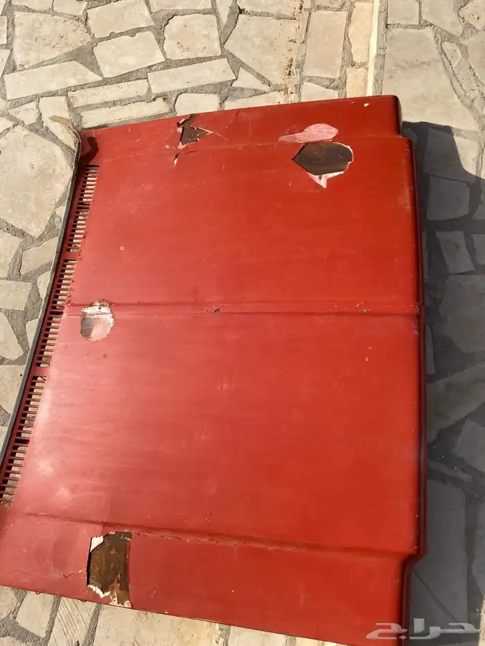 كبوت   شد 2