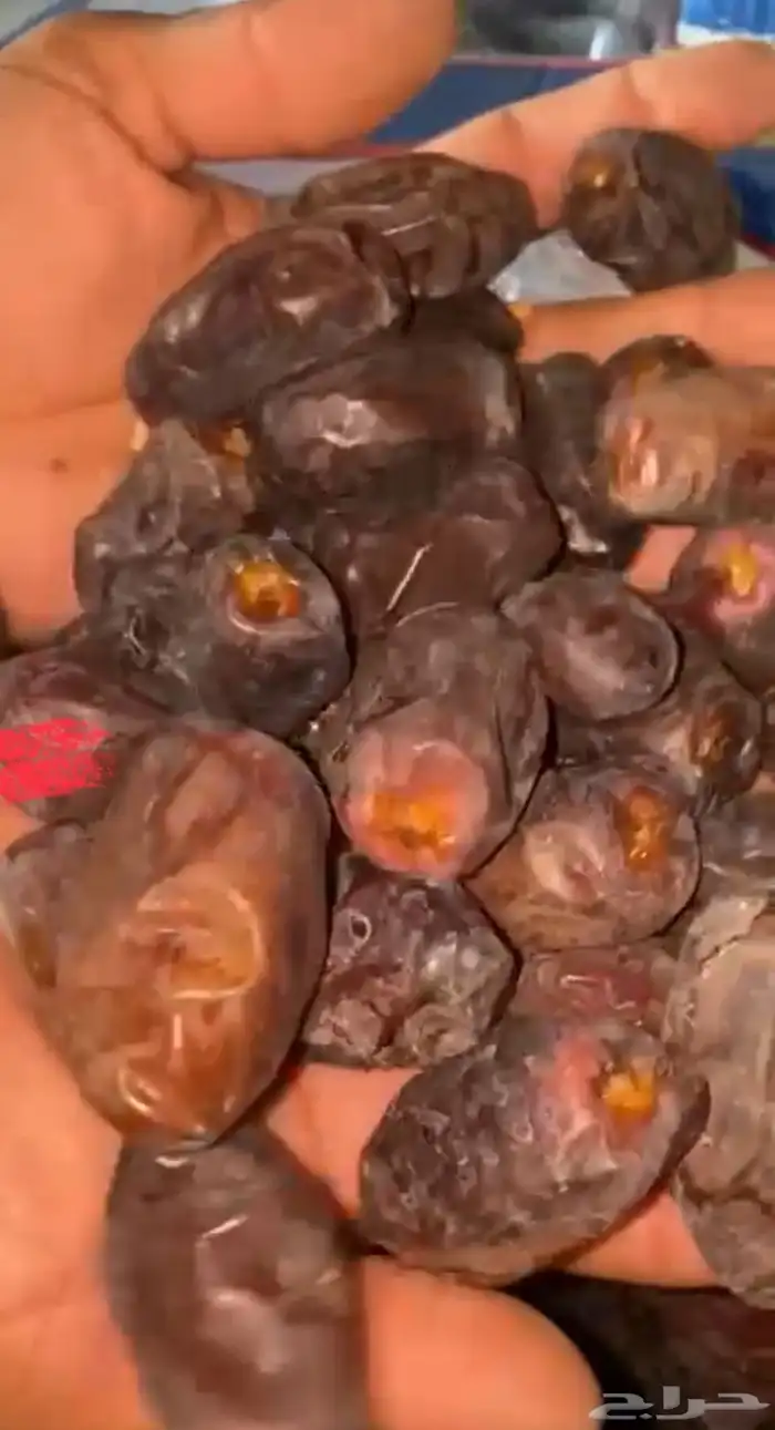 تمر خضري وخلاص 0