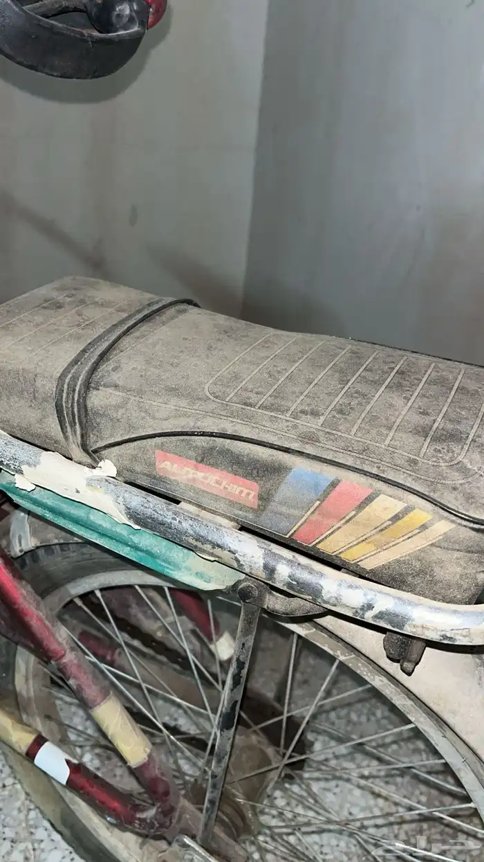 رامبو عنابي 4