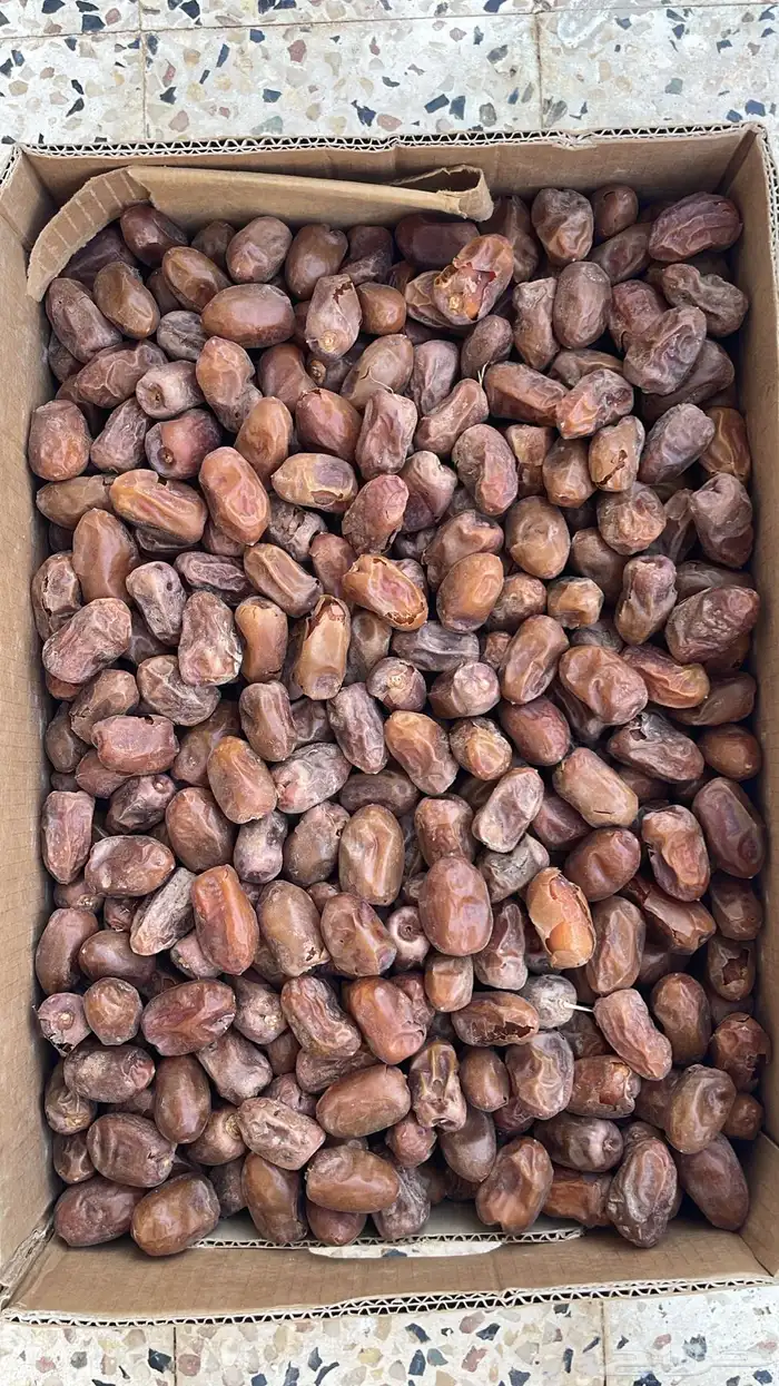 كرتون تمر سري 0