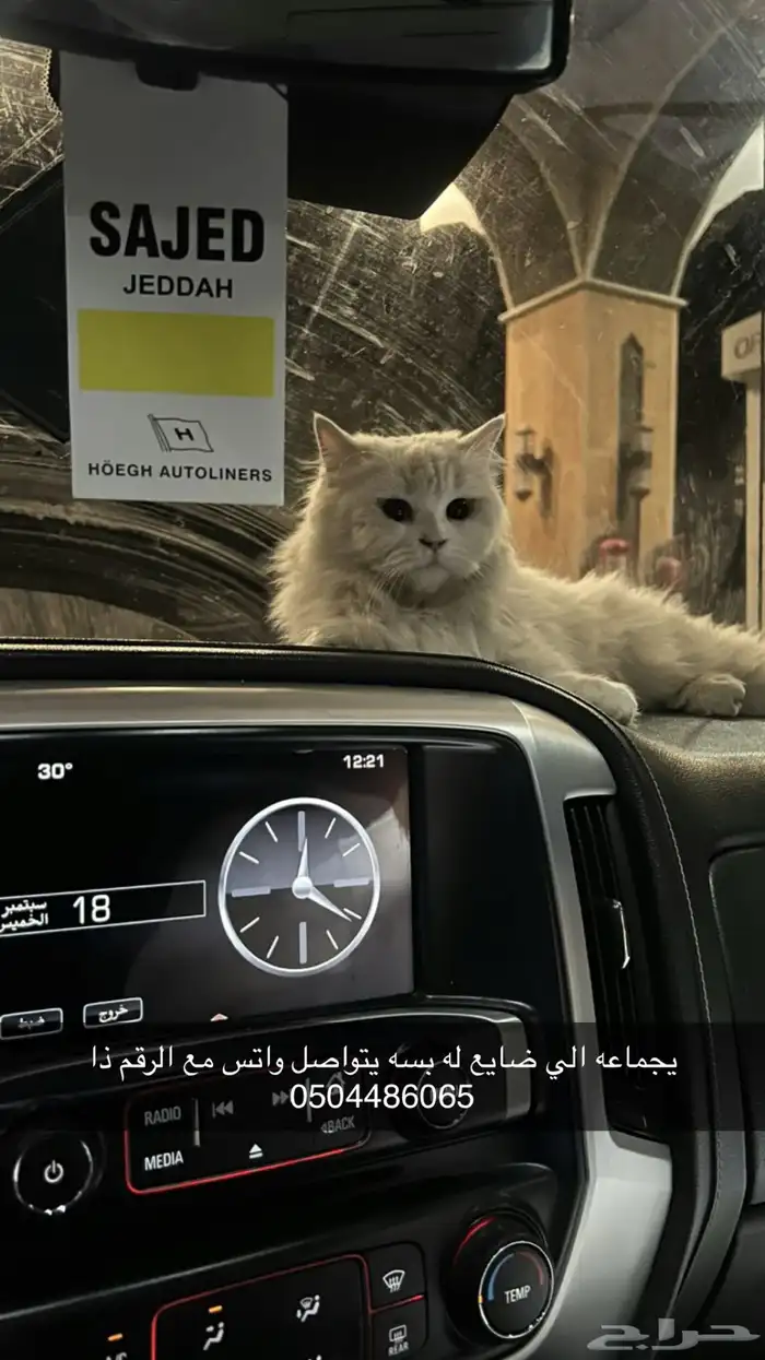 بسه ضايعه بيشه 0