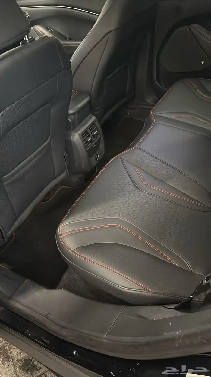 مرشد و سائق سوداني هولندا امستردام 0