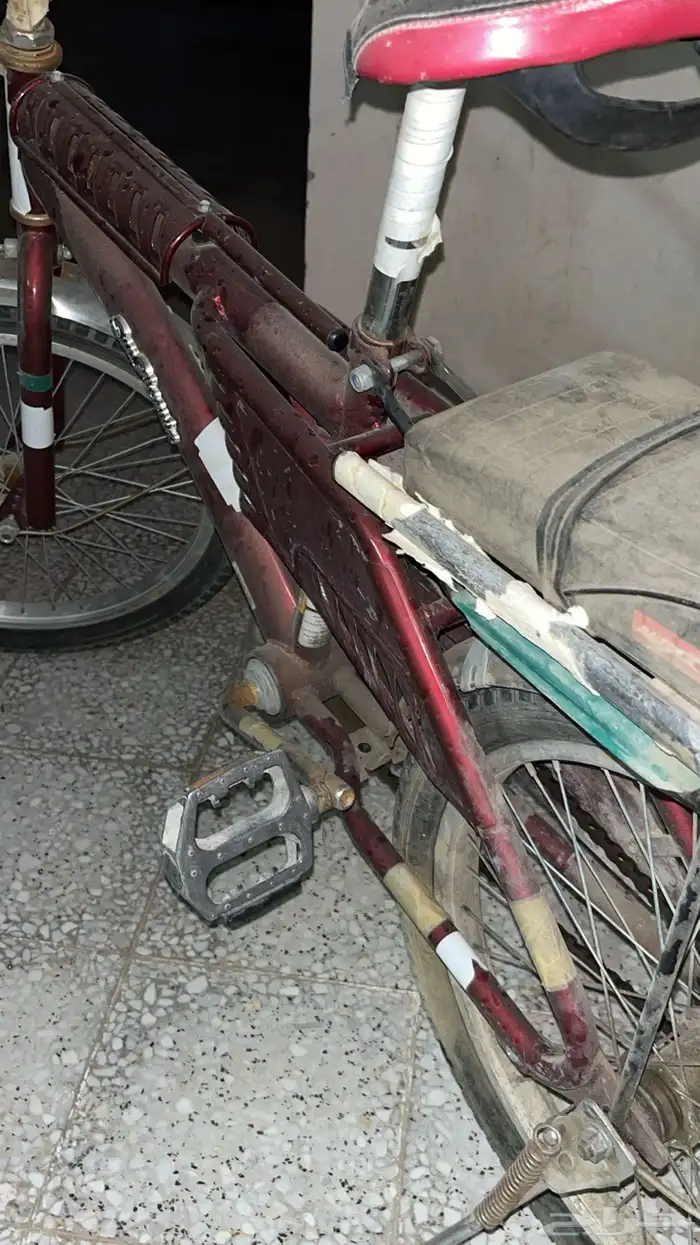 رامبو عنابي 3