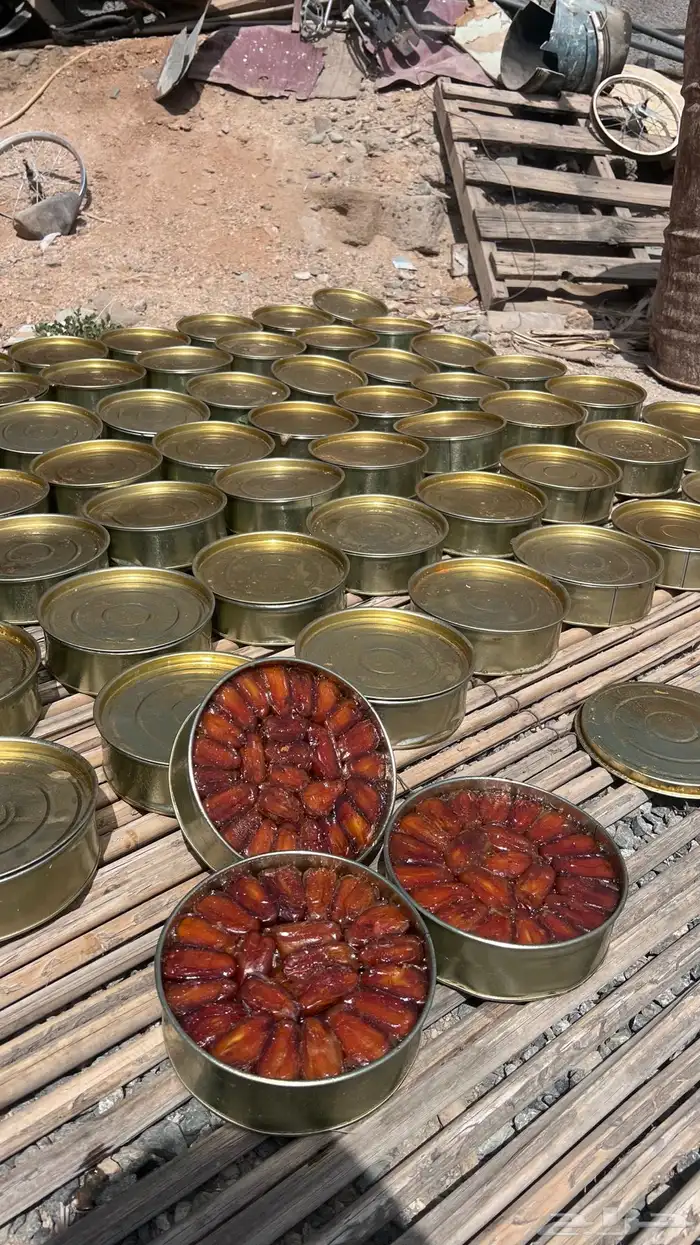 تمر حبه كبيره 1