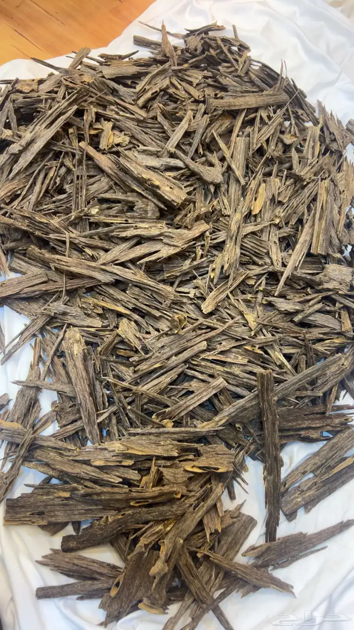 اقوى عرض بالعود الطبيعي بسعر رمزي ومميز جدا  لفتره محدوده 1