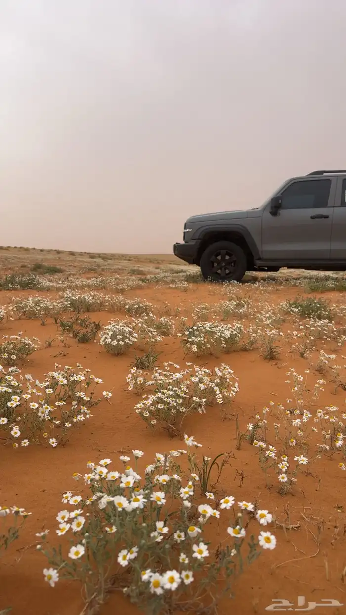 تانك TANK300 للبدل في هافال H9 1