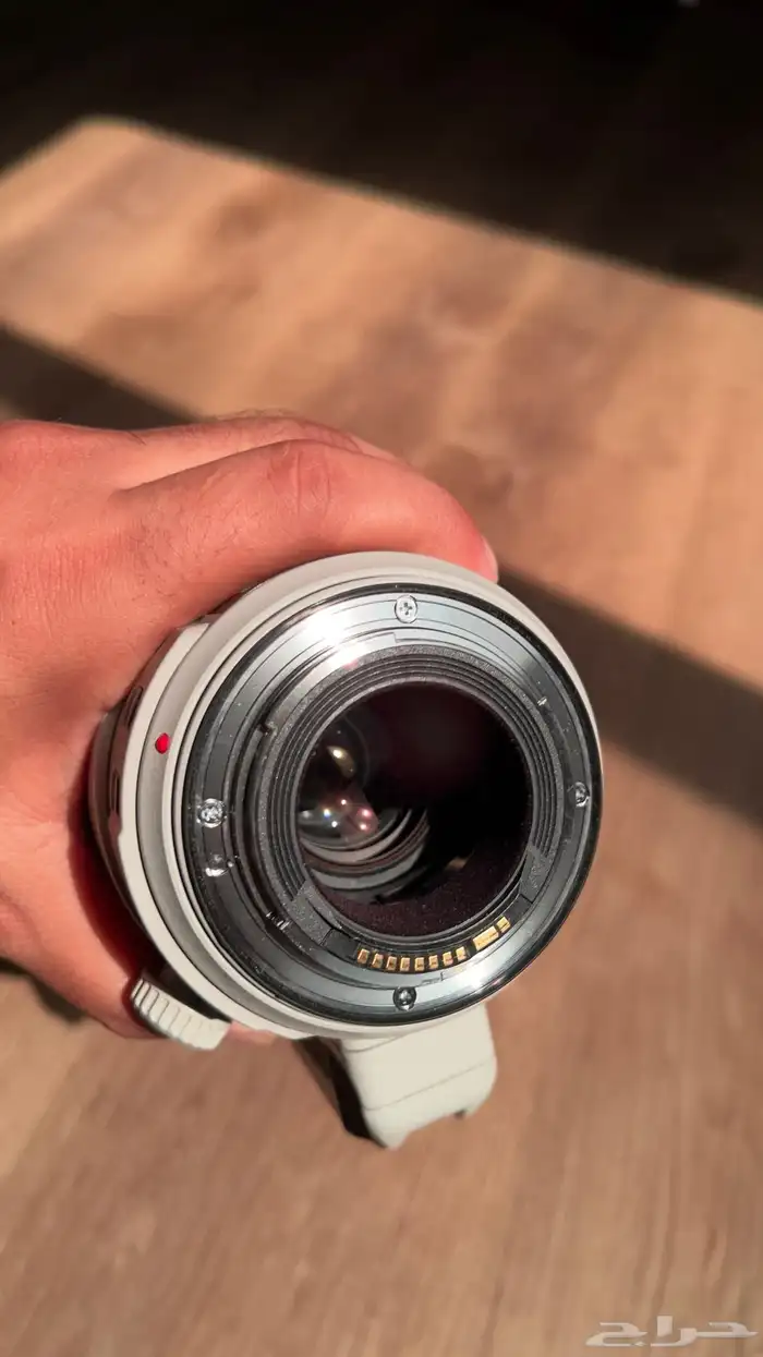 عدسة كانون 100-400 الإصدار الثاني 2