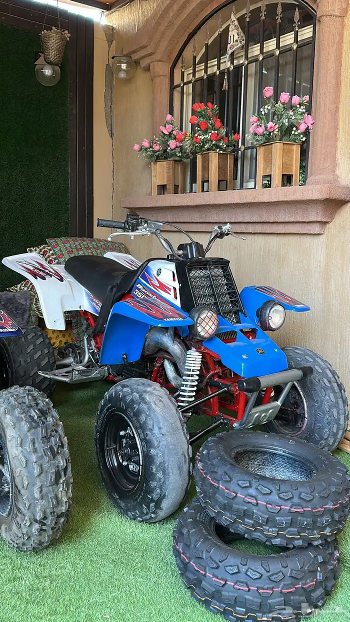 بانشي 2006 ( تم البيع ) 0