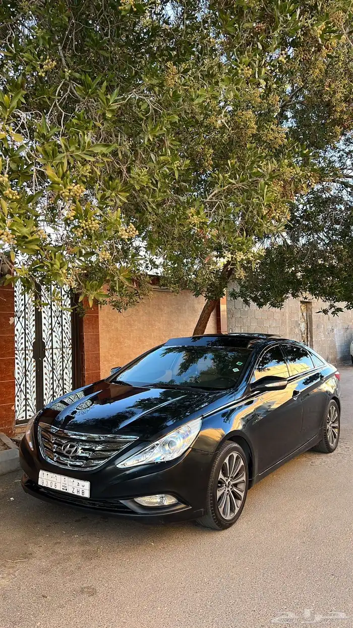 سوناتا 2013 1