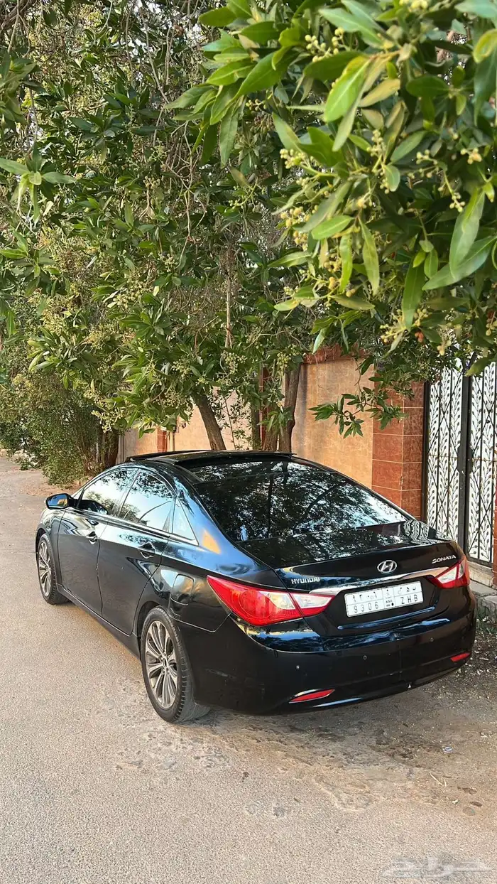 سوناتا 2013 2