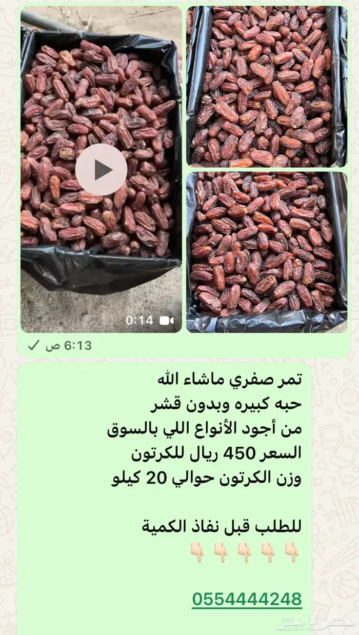 تمر صفري بيشه فاخر 2