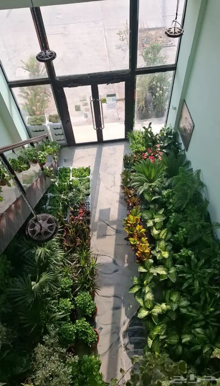 مشتل تنسيق زهور وحدائق   زراعه كافه الشتلات والاشجار 3