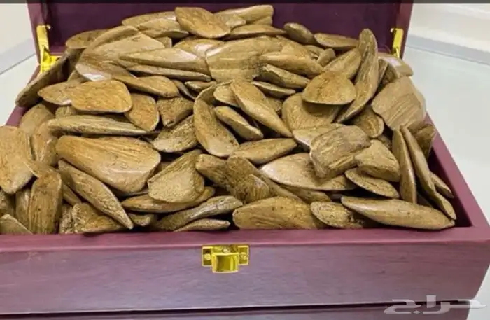 للبيع عود فاخر 3 انواع عود تايقر عود الكلمنتان عود المروكي 3