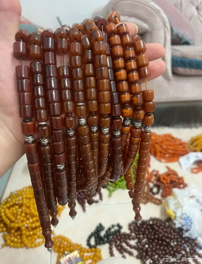 سبح فاتوران وسندلوس 2