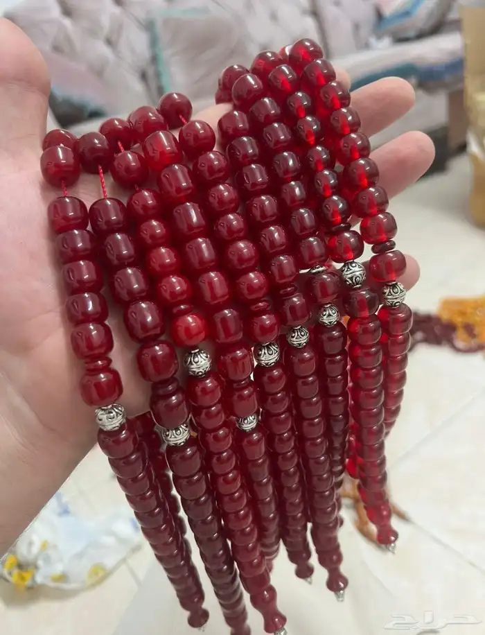 سبح فاتوران وسندلوس 4