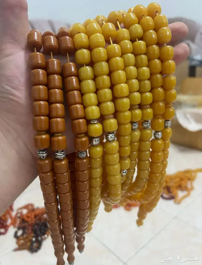 سبح فاتوران وسندلوس 5