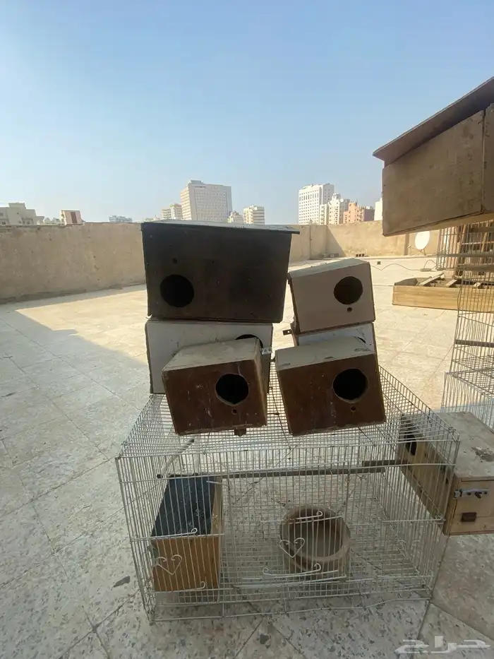 اقفاص للبيع وبياضات 2