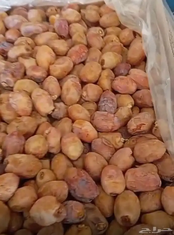 تمر خلاص اشقر فله 11 طن انتاج 2025 0
