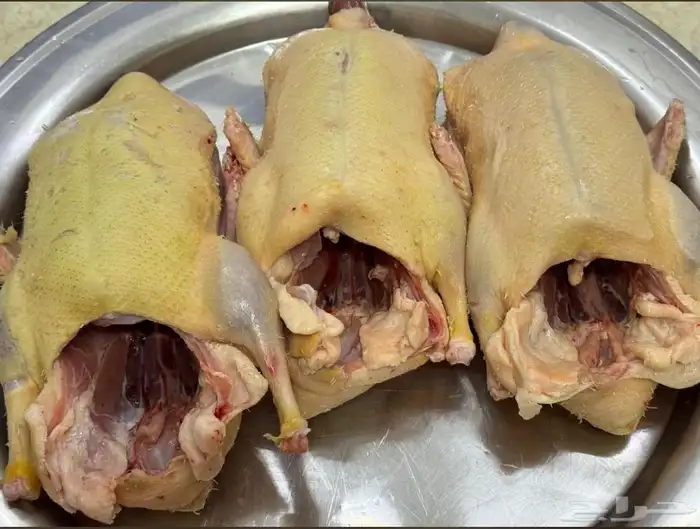 زغاليل بط وز 2