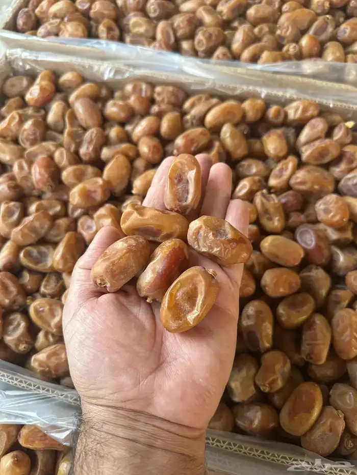 خلاص الخرج الفاخر 1