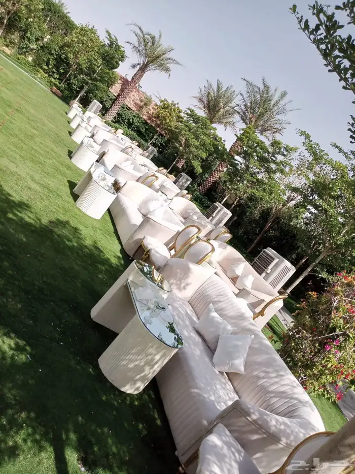 منسق حفلات 6