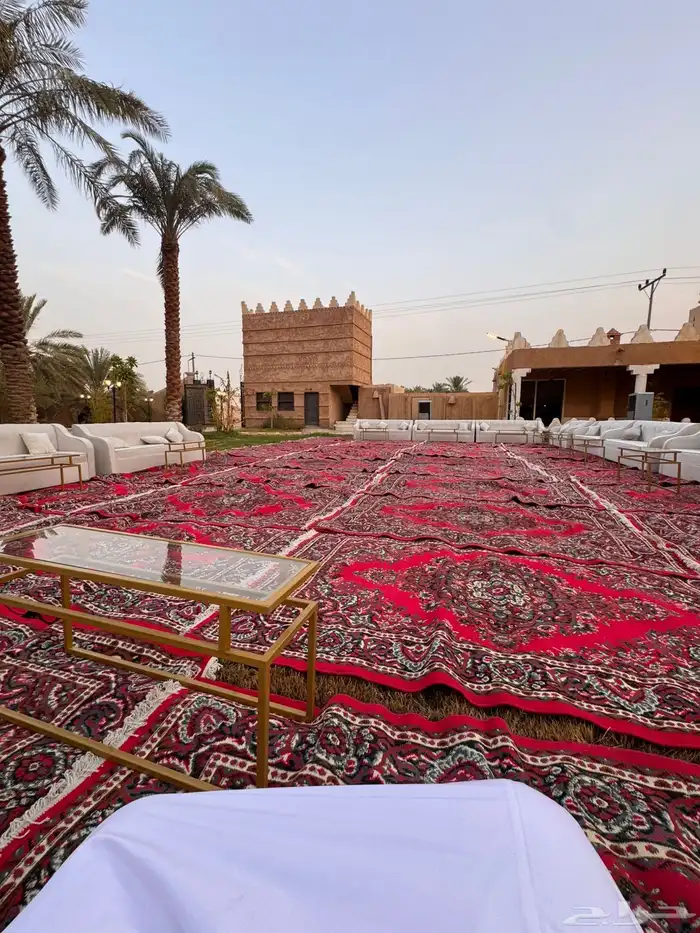 نبيض وجهك في حفلتك 11