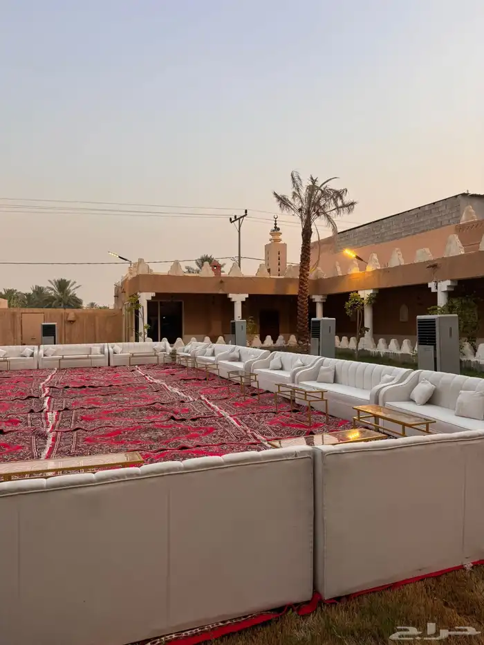 نبيض وجهك في حفلتك 6